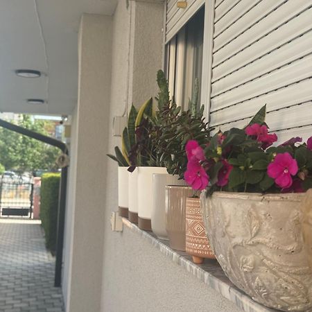 Vila Bolonja Struga Eksteriør bilde